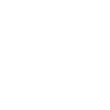 sea-net-icon-blanc-
