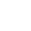 z-sea-net-icon-blanc